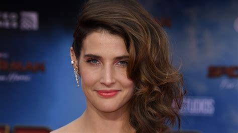 cobie smulders|The Untold Truth Of Cobie Smulders.